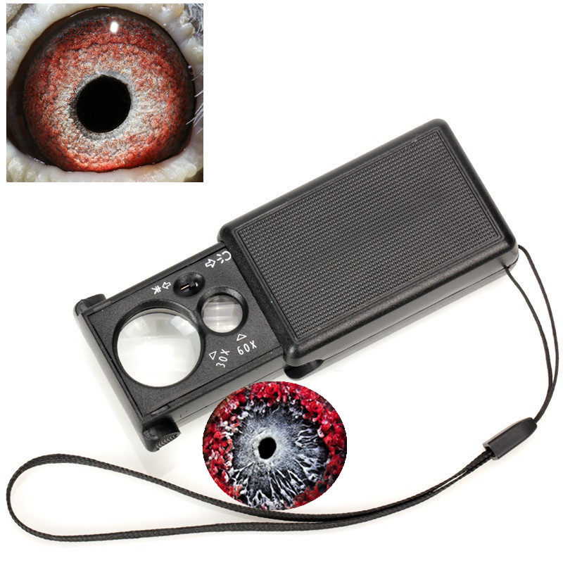 High Times Dove Eyemagnifier Identification Letter Dove LED Light Pearl Portable Jewellery Mirror Telescopic Pull-out 30-60 Times