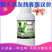 Dầu bồ câu của Tây Ban Nha Dầu tỏi 250ml đua chim bồ câu sản phẩm chim bồ câu nóng thuốc hỗn hợp thức ăn cho chim bồ câu ăn dầu tỏi 1 - Chim & Chăm sóc chim Supplies