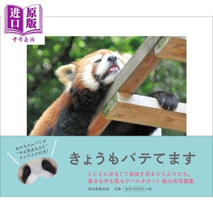 可爱治愈脱力系动物写真集 日文原版 きょうもバテてます 脱力系どうぶつ写真集【中商原版】