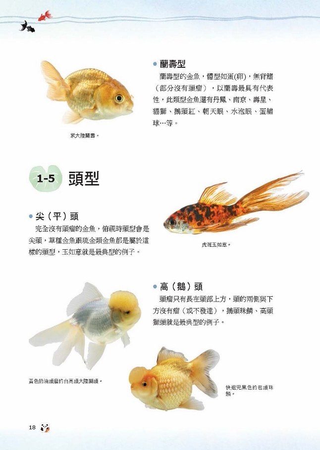 海外代購金魚事典寵物金魚的綺麗圖鑒港臺原版創意眼金魚坊蘇東偉pcuser電腦人文化 中商原版 露天拍賣