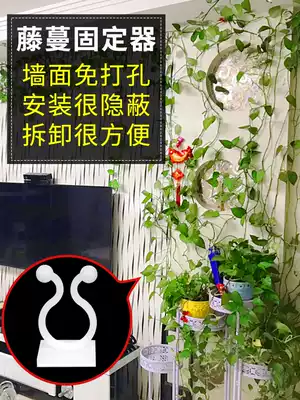 Golden Ge Climbing the artifact Golden Ge holder Climbing Wall Green planting wall hanging rose Vine clip no trace flower clip buckle adhesive hook