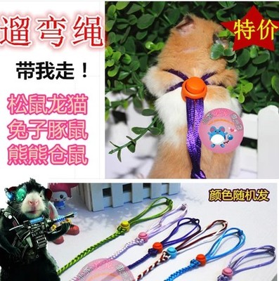 Squirrel mink traction rope guinea pig guinea pig chinchilla walking bend rope hamster raging mouse rope traction rope going out rope