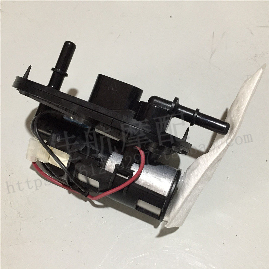 Cruising Huanglong BJ600GS -A BN600i fuel pump assembly petrol pump Electric spray tank pump