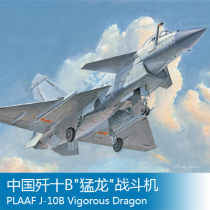 Trumpeter assembled aircraft model 1 48 fighter J-10b J-10 B Raptors China 02848