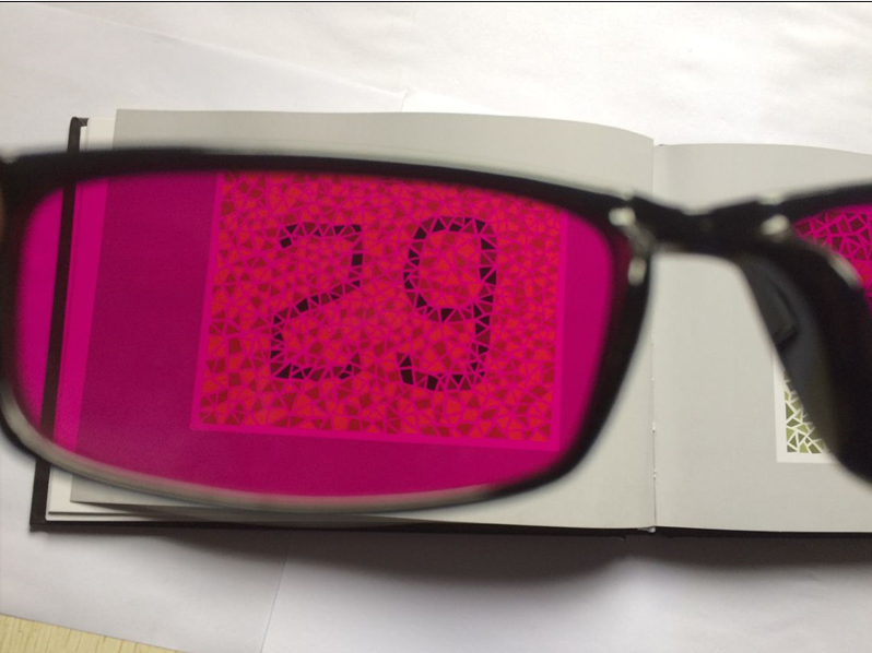 Montures de lunettes en Plaque - Ref 3139094 Image 13