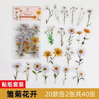 Коричневые наклейки-коричневые цветы цветут