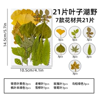 Таблетки для арбуза красного листа озера-21
