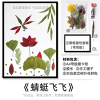 Черная фоторамка, стрекоза