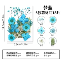Мечта LAN-18 пьес