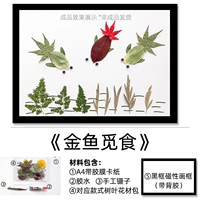 Золотая рыбная корма+черная фотомочная рама