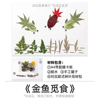 Золотая рыбка пищу