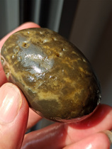 Direct discount for the first order. Hotan ink jade seed material raw stone genuine Shoushan bean stem stone black wax stone the real thing is darker finer and smoother.