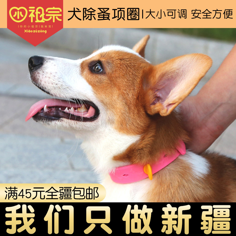Dogs use flea collar - collar - flea - collar - flea - pest - destroy flea - destroying flea - circle - Huang - good partner dog ring