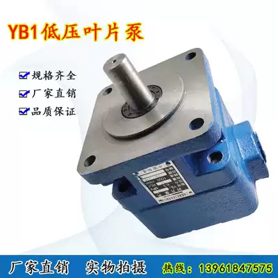 The hydraulic vane pump YB1-2 5 YB1-4 YB1-6 3 YB1-10 YB1-12 5 YB1-16 20
