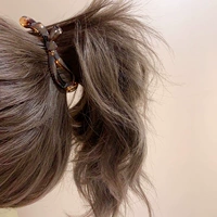 Хвостик, маленькая нескользящая заколка для волос, шпильки для волос, заколка-крабик, популярно в интернете