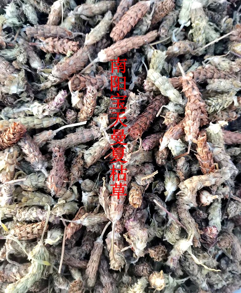 Prunella vulgaris Chinese herbal medicine Prunella vulgaris wild fresh and natural drying 500g price