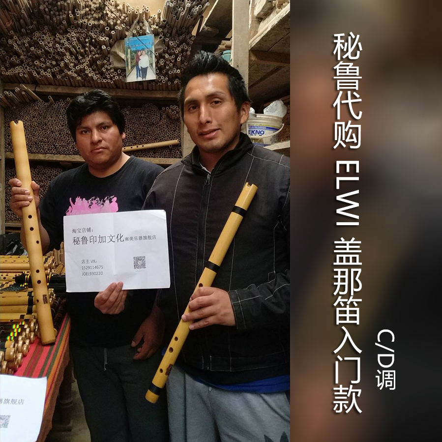 The entry flute C key D key of the last Mohicans beginner South American Dong Xiao ELWI brand delivery bag