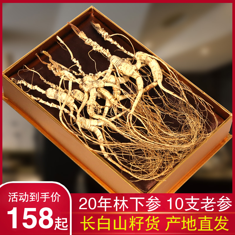 Long White Mountain Ginseng Mountain Ginseng Linchin Mountain ginseng Northeastern wild forest Under the old Mountain Ginseng New Year's Ginseng Gift Boxes for 20 years