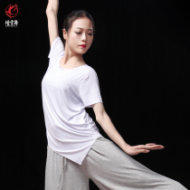 Modern dance practice Costume For Adults Female Short Sleeve Blouses National Classical Dance Body Dancing Yoga Ballet Dresses