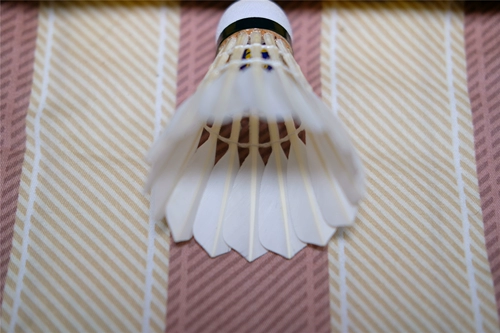 [Feiyun Zero Wolf] Feifeng Badminton: сосредоточившись на единственной из 100 юаней пика с высоким уровнем гусиных волос.