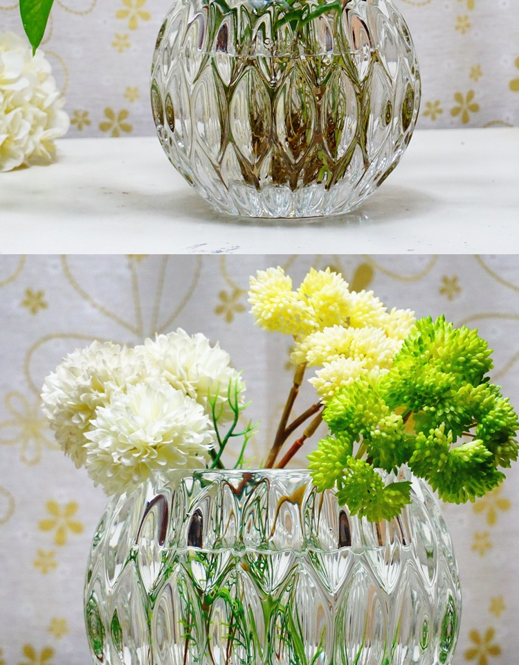 Dao kéo, cây nhện, cây nho xanh, bình hoa, hoa mọng nước, làm vườn nhỏ, hoa phong cách IKEA, chậu hoa - Vase / Bồn hoa & Kệ chậu trồng hoa