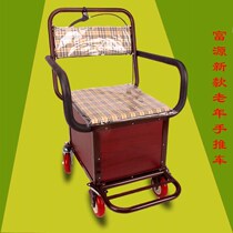Fuyuan elderly trolley elderly shopping cart elderly leisure car buying vegetable car car driving driving chair Walker big model