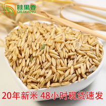 Oatmeal rice 2020 new five grains whole germ Inner Mongolia farmer oat kernel 莜麦米 3 pounds vacuum packed