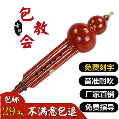 Hulusi musical instrument beginner Bakelite resin c down B regulation anti-fall adult children self-study primary school Zero Foundation