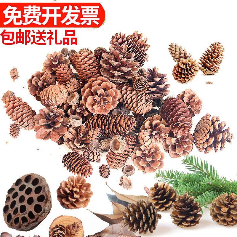 Larch flower pinecone decoration pine tower wild children's handmade creative handmade diy kindergarten ornaments materials