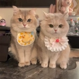 Милый нагрудник, кружевная ткань, плетеный слюнявчик ручной работы, аксессуар, шарф, чокер