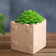 Succulent ceramic flower pot square succulent flower pot relief square small flower pot ເຄື່ອງປັ້ນດິນເຜົາສີແດງ flower pot retro pottery pottery