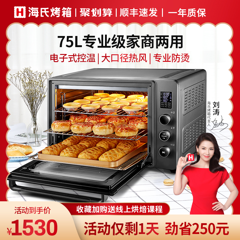 Hayes C75 oven Large capacity private baking cake multi-functional automatic fermentation commercial household electric oven