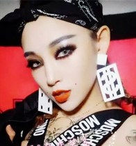 Bar European and American personality temperament nightclub sexy women exaggerated long earrings hip hop punk earrings ear studs