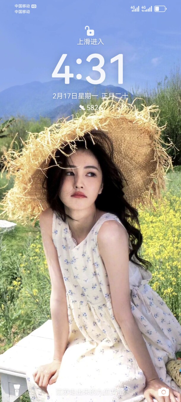 美丽鞋元素
