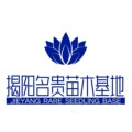 揭阳名贵苗木基地