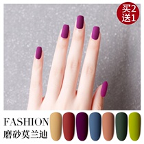 Nail Polish winter color Net red suit full winter autumn and winter student girl nude nail shop waterproof