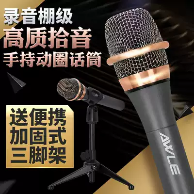 AWLE D300 handheld dynamic microphone Computer live k song recording shouting microphone ktv microphone equipment
