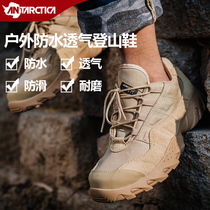 Seventh continent outdoor shoes mountaineering shoes mens summer lightweight breathable hiking shoes Waterproof desert shoes non-slip climbing boots