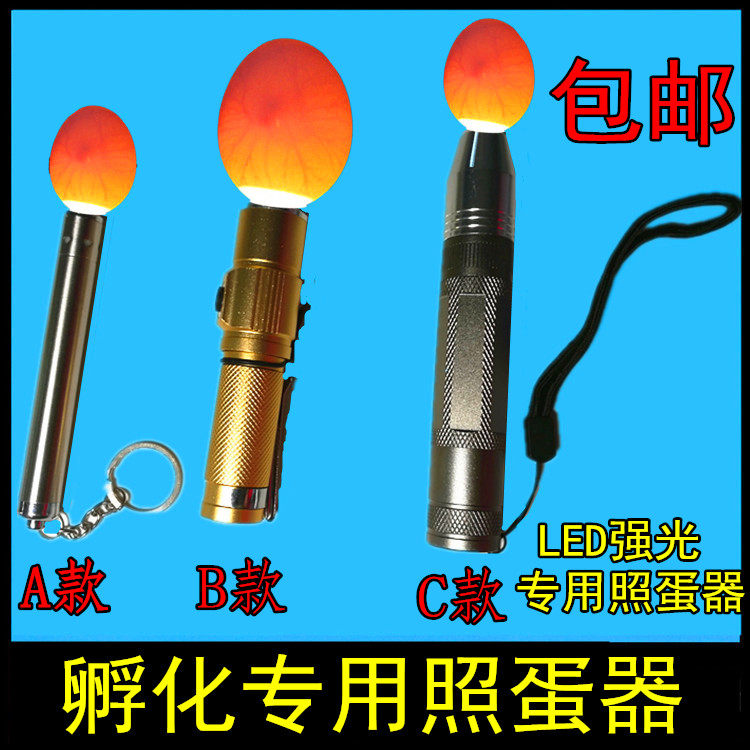 LED egg light hatching special egg light flashlight Chicken duck goose pigeon parrot bird selection fertilized eggs