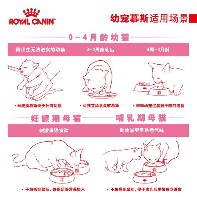 Royal milk cake canned kitten milk cake staple food canned cat nutritional weight gain 24 cans whole box imported staple food canned cat