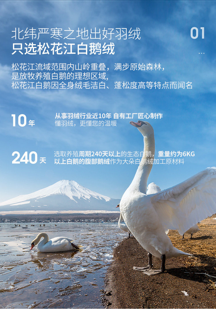 中国羽协保障产品 艾尚羽 可水洗轻薄鹅绒被 夏凉被 1.5m*2.1m 图7