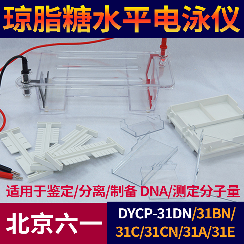 Beijing 61 DYCP-31DN 31BN 31CN 31CN agar sugar level electrophoresis instrument trough DNA electrophoresis tank electrophoresis apparatus