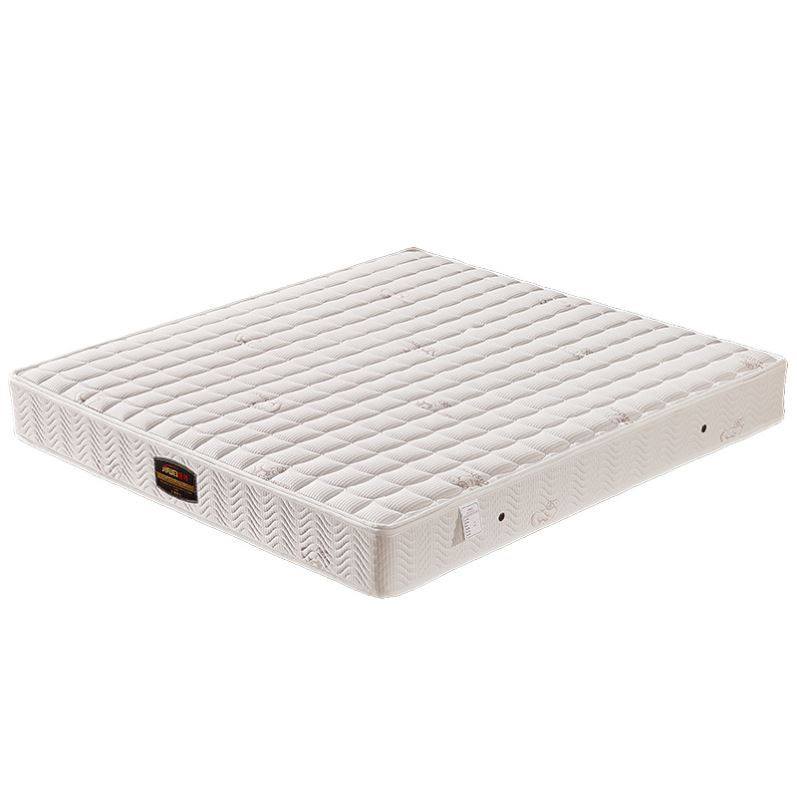 Mat Dreams Thought Bed Cushion Thickened 20 cm Home Bedroom Double Economy Type of Latex Coconut Palm 1 8m Soft and soft spring cushion