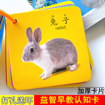 Toddler baby literacy card kindergarten childrens toys early education enlightenment literacy without picture literacy learning pinyin