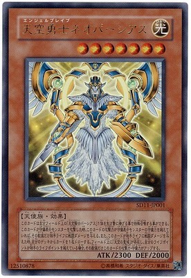 NPKA UR Sky Warrior NOPERTIES SD11 SR05