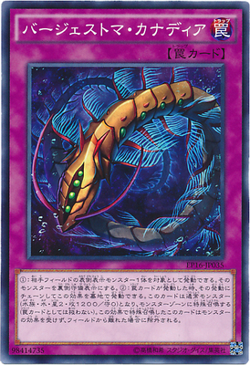 N Pinka Bergis Canadian Worm EP16 SD41 Japanese Edition