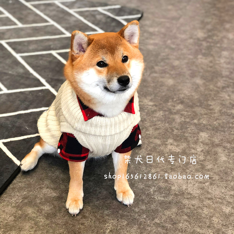 (Japan) Japanese Mandarine Brothers Shiba Inu Sweater Two-piece Shiba Inu Clothes