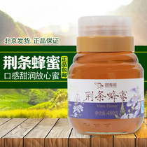 Specialty Store Yishouyuan Honey Yiyuan Brand Jingliao Honey 480g Jinghua Honey