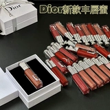 [情人节礼物Dior迪奥新品魅惑唇蜜唇釉染唇009/024/029/038无盒]