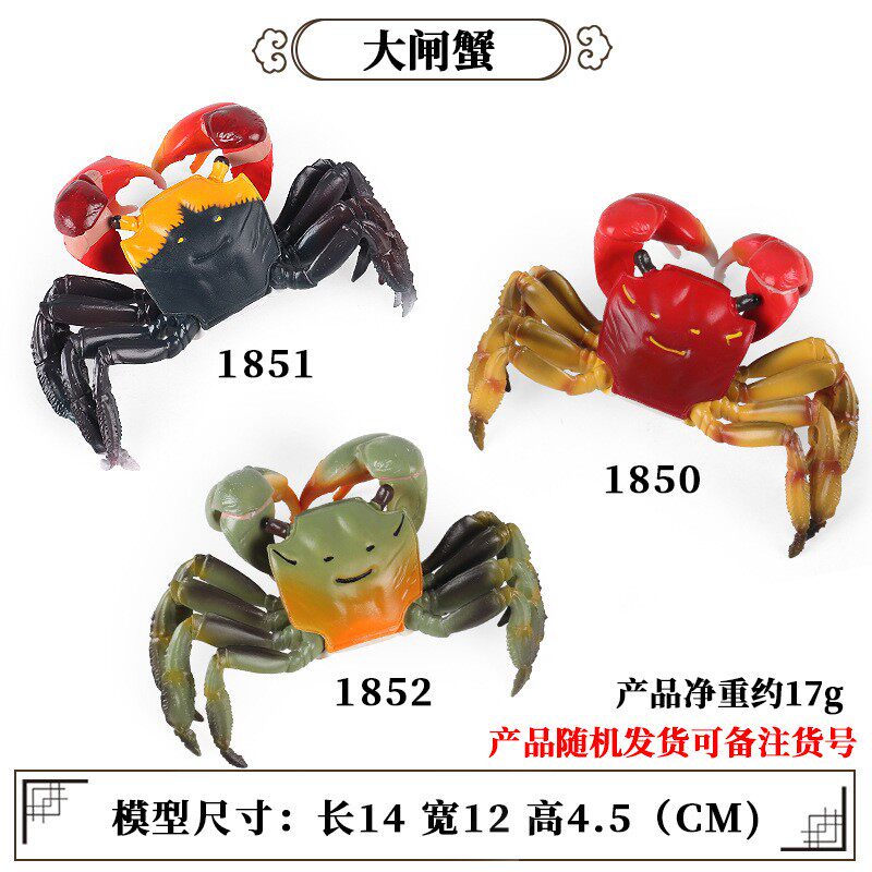 Игрушки-животные 仿真塑胶螃蟹玩具大闸蟹海蟹海鲜动物模型大号龙虾儿童男孩礼物 053